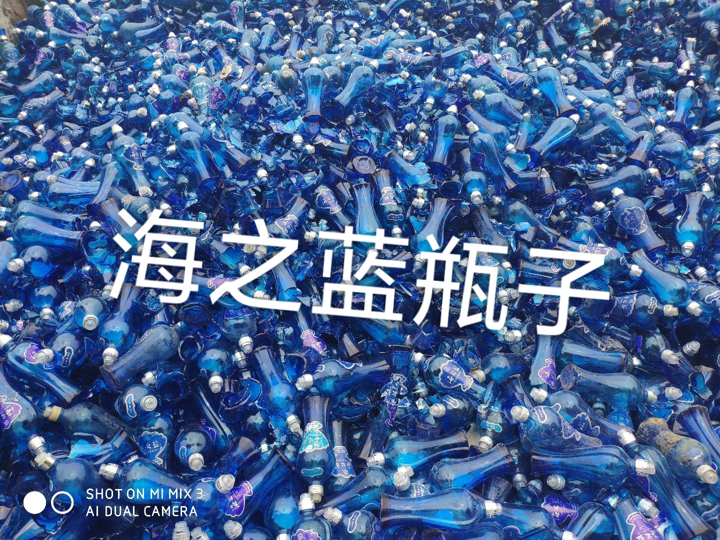 泰兴海之蓝瓶回收